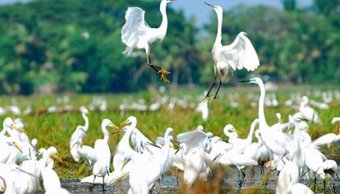 Oceana Hills Residency Hotel Alappuzha Bagian luar foto